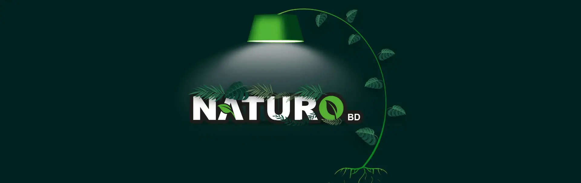 Traditional Care 
 for Modern Wellness